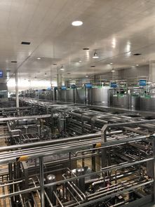 蒙牛工廠迎GDP全球代表參觀 為合作共贏打基礎