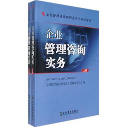 企業(yè)管理咨詢實務(wù) 全國管理咨詢師職業(yè)水平考試用書 上下冊